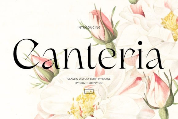 Canteria: A Serif Font That Elevates Brand Identity
