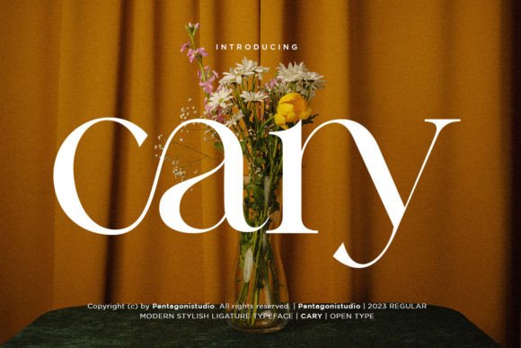 Cary Serif Font: Elevate Your Handmade Brand