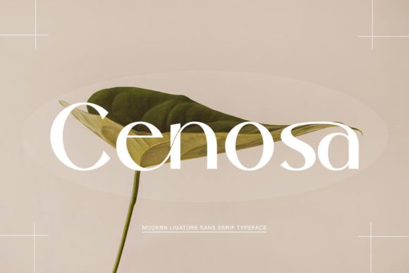 Cenosa: The Clean Sans Serif Font for Polished Brands