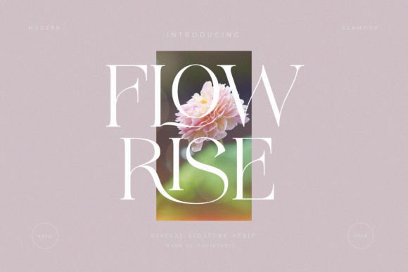 Flowrise Typeface Review for Web Design