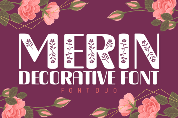 Merin Font: A Web Designer’s Review