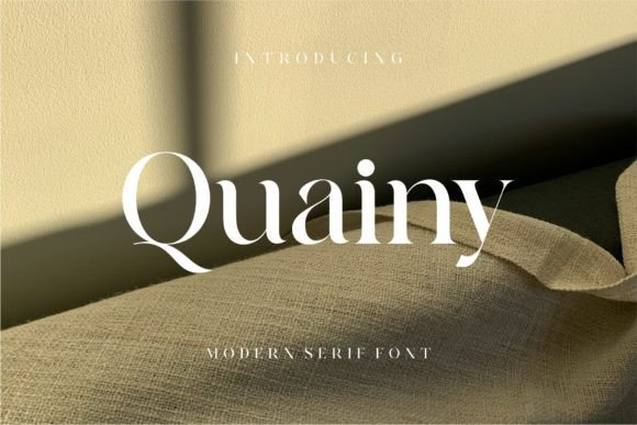 Quainy: A Serif Review for Modern Branding